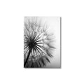 3PCS Black and White Wall Art Canvas Painting Dandelion Flower Pictures Poster and Prints Home Decorative Artworks for Kitchen