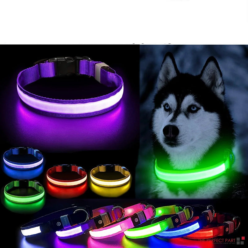 LED Adjustable Dog Collar Blinking Flashing Light up Glow Pets Safety Waterproof