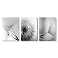 3PCS Black and White Wall Art Canvas Painting Dandelion Flower Pictures Poster and Prints Home Decorative Artworks for Kitchen